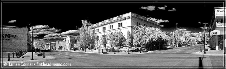 library_faux_ir_730