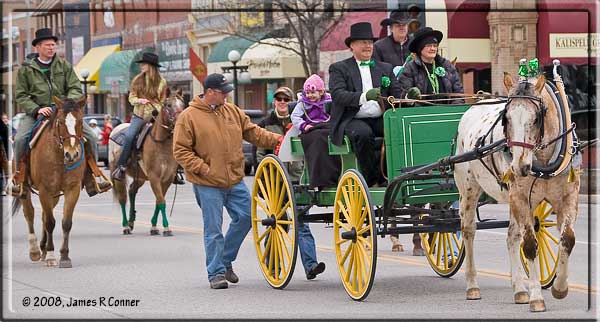 Horse drawn buggy in St. Patrick's Day parade.